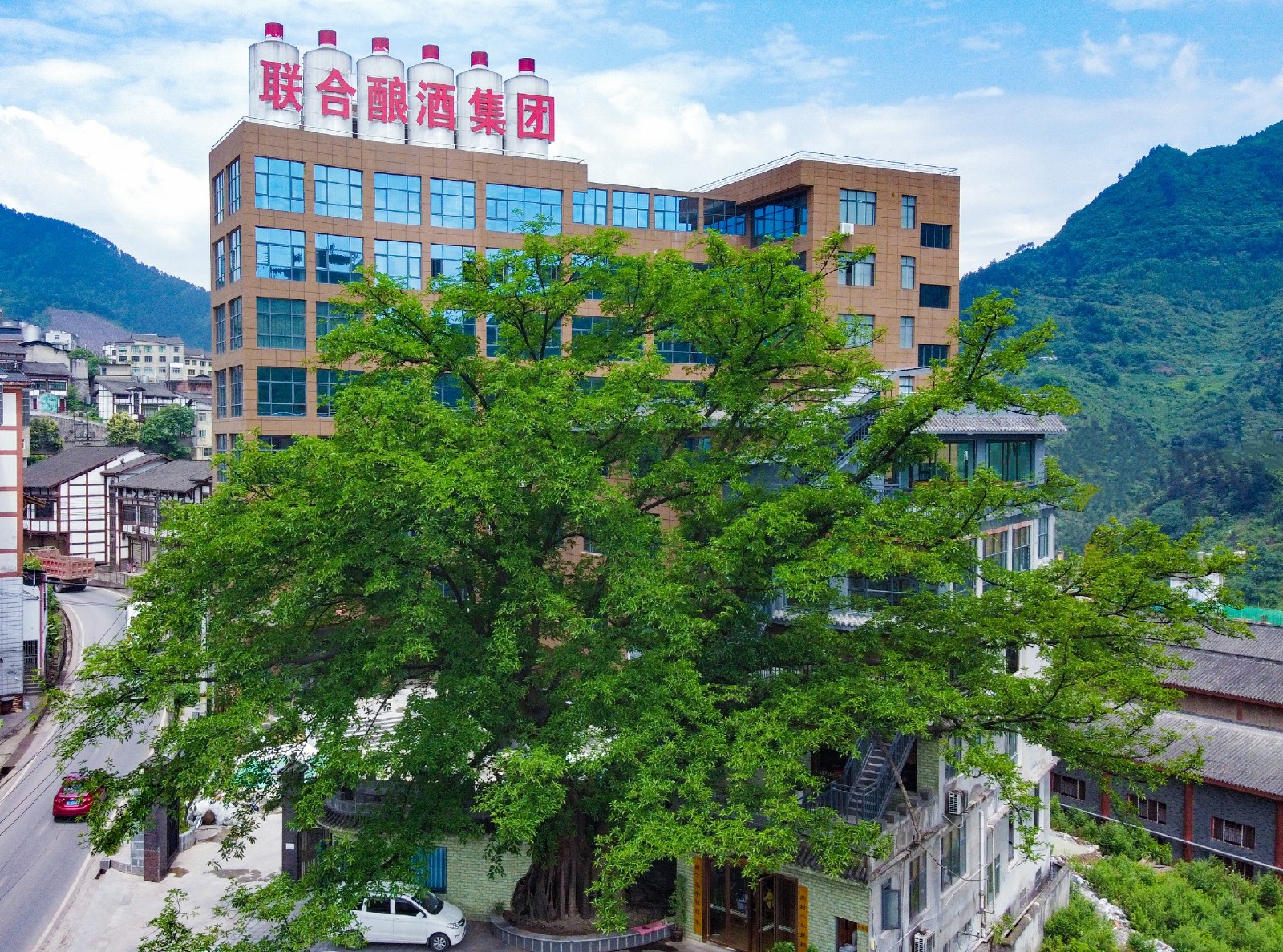 1625110491330527.jpg 大樓~1.jpg